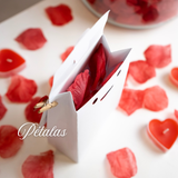 Embrulho Presente Especial Dia dos Namorados