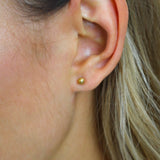 Ginger Set | Conjunto Especial de Natal